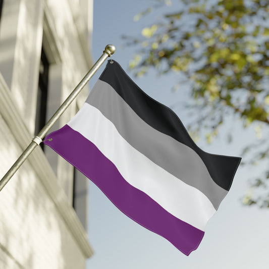 Asexual Pride Flag